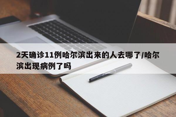 2天确诊11例哈尔滨出来的人去哪了/哈尔滨出现病例了吗